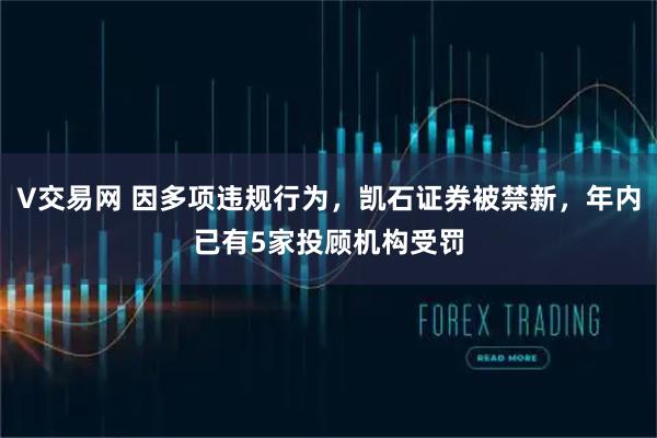 V交易网 因多项违规行为，凯石证券被禁新，年内已有5家投顾机构受罚